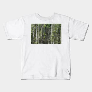 The edge of a forest near Elgol, Skye Kids T-Shirt